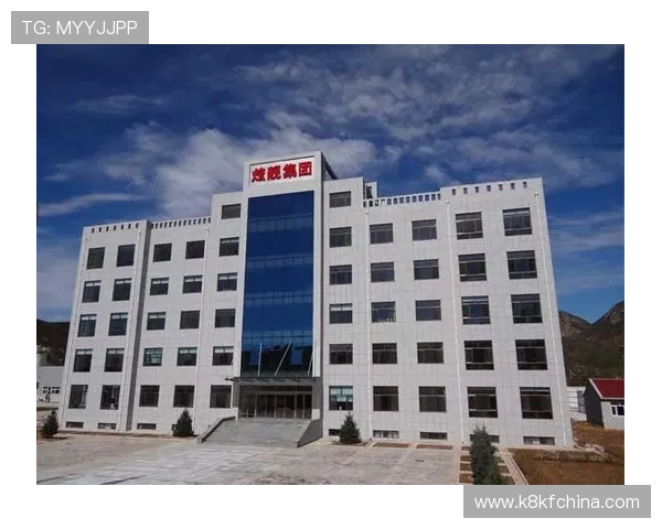 凯发娱乐官方平台最新安全保障措施全面解析，保障玩家账户资金安全与游戏体验提升